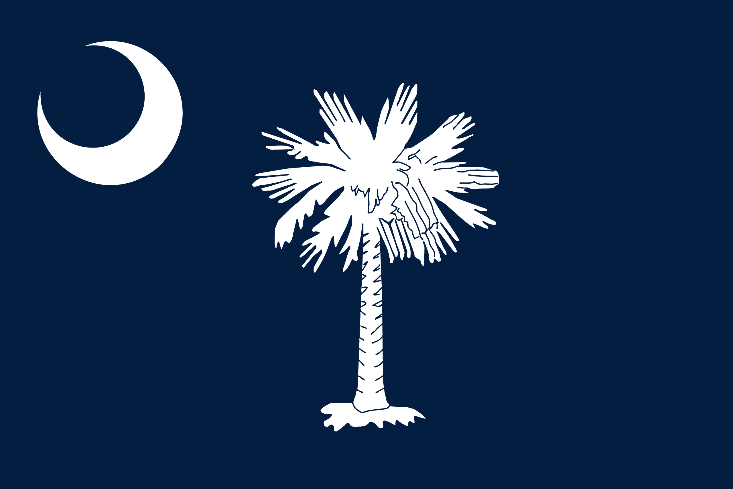 SC students can’t sue over AP African American Studies class ending, state argues on appeal state flag